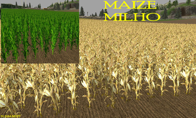 nova textura wheat barley 1 New Texture Wheat Barley V 1.0