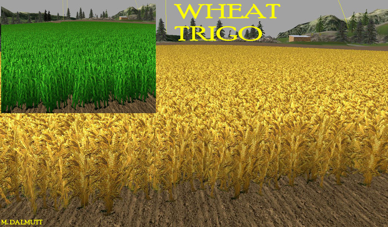 nova textura wheat barley 2 New Texture Wheat Barley V 1.0