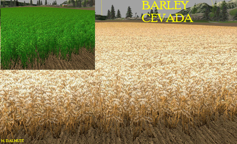 nova textura wheat barley 3 New Texture Wheat Barley V 1.0